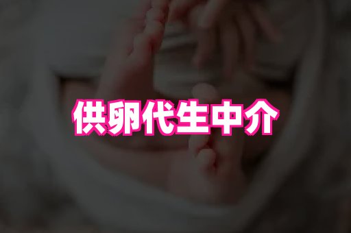 gfg孕网 3